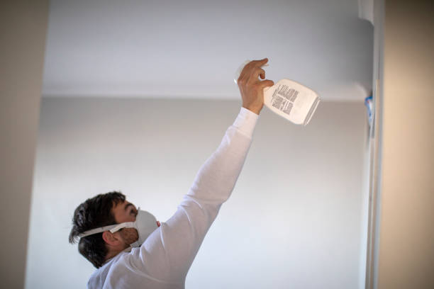 Best Mold Removal Company Near Me  in Elmwood Park, IL