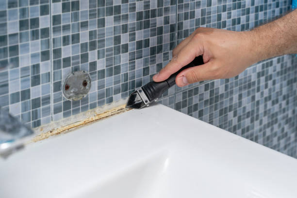 Reliable Elmwood Park, IL Mold Removal Solutions